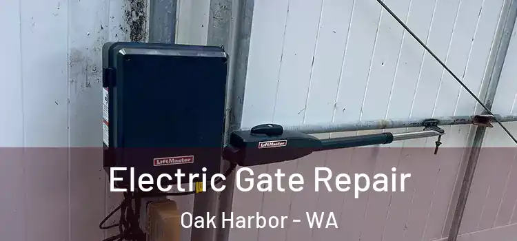  Electric Gate Repair Oak Harbor - WA