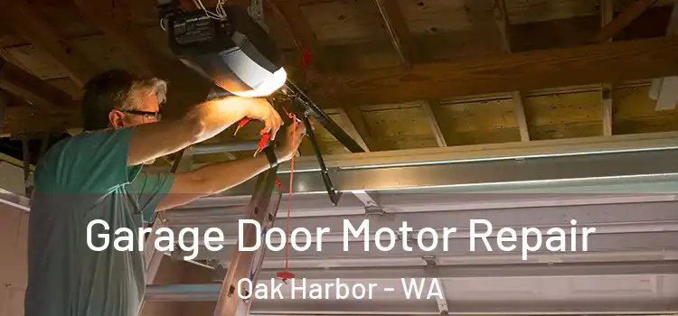  Garage Door Motor Repair Oak Harbor - WA