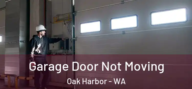  Garage Door Not Moving Oak Harbor - WA