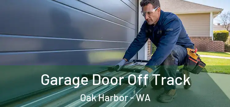  Garage Door Off Track Oak Harbor - WA
