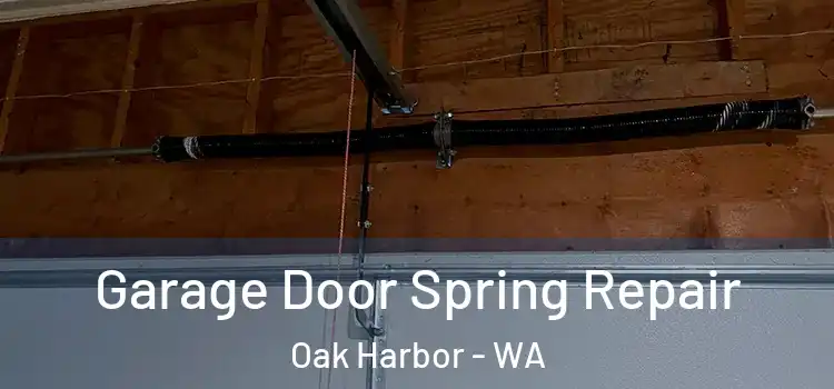  Garage Door Spring Repair Oak Harbor - WA