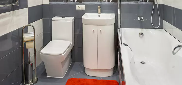 Hansgrohe Shaving Mirror Oak Harbor