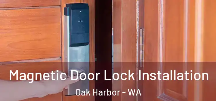  Magnetic Door Lock Installation Oak Harbor - WA