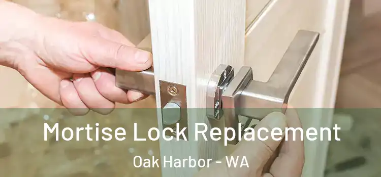 Mortise Lock Replacement Oak Harbor - WA