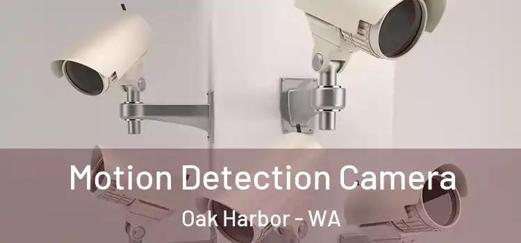  Motion Detection Camera Oak Harbor - WA