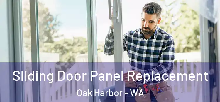  Sliding Door Panel Replacement Oak Harbor - WA