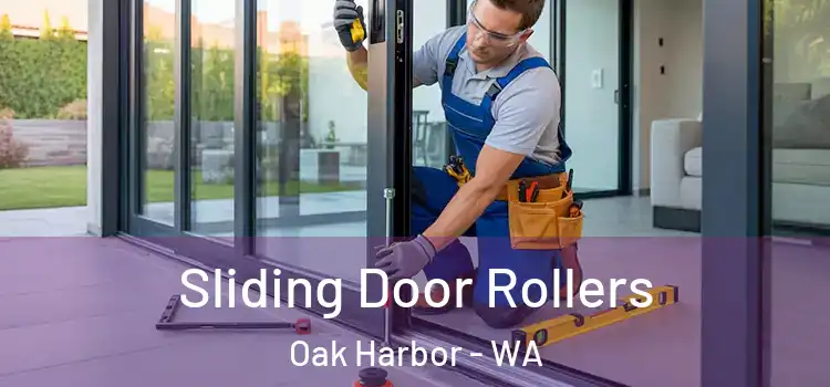 Sliding Door Rollers Oak Harbor - WA