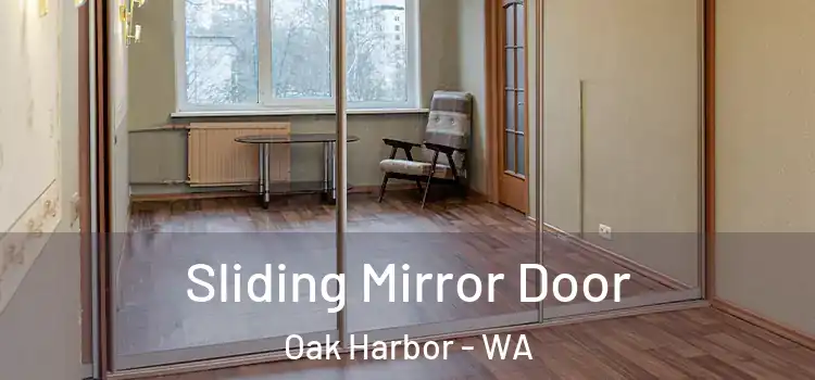  Sliding Mirror Door Oak Harbor - WA